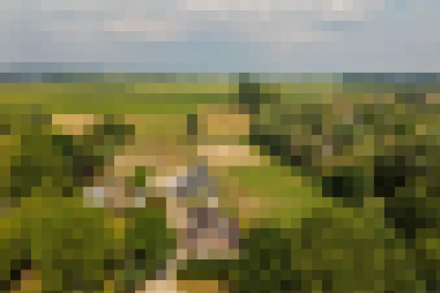 Woerdsestraat 20 Altforst thumbnail 7