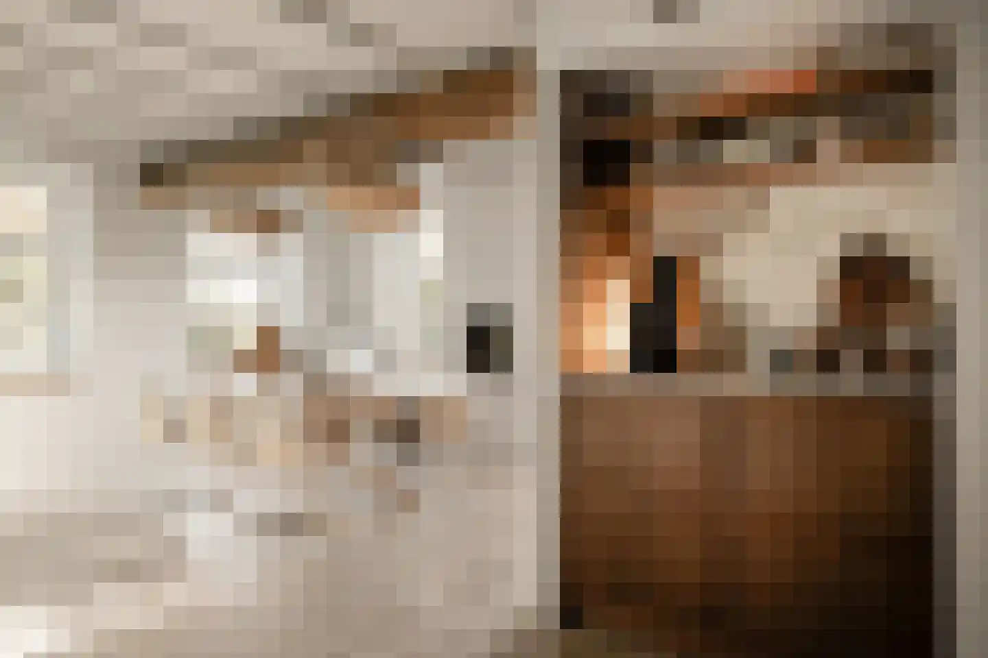 Woerdsestraat 34 Altforst thumbnail 17