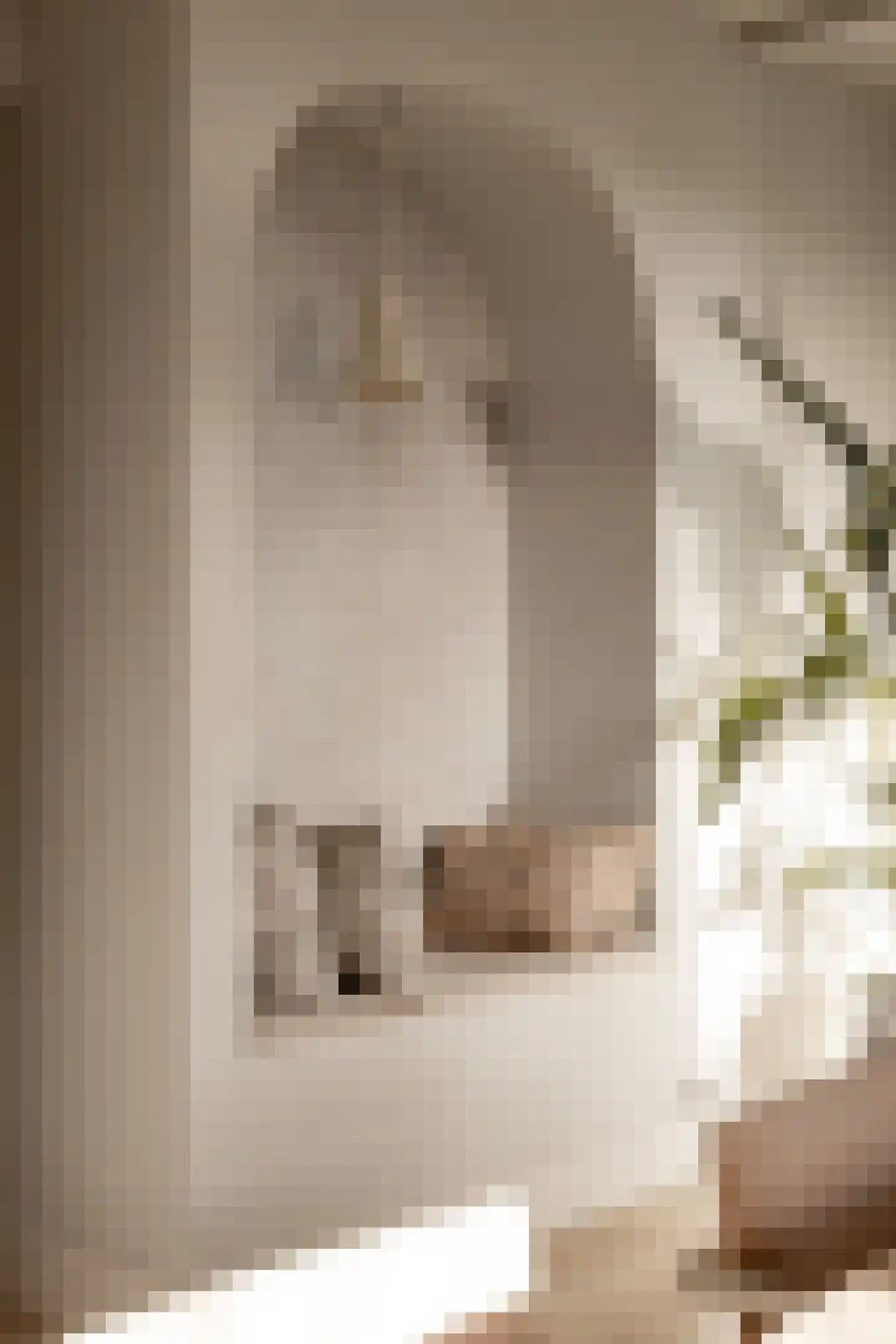 Woerdsestraat 34 Altforst thumbnail 21