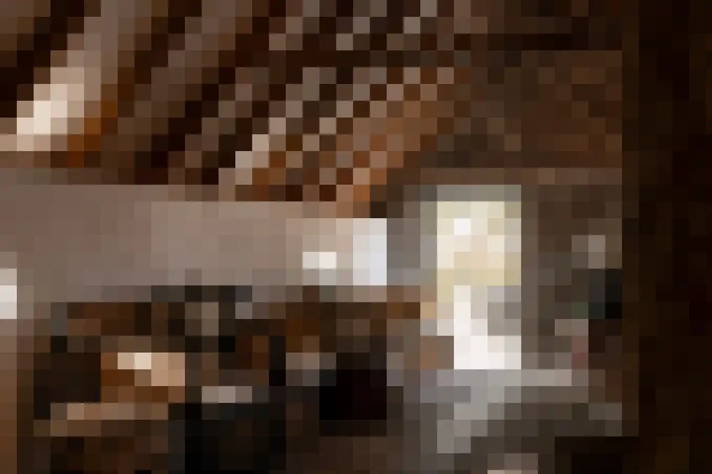 Woerdsestraat 34 Altforst thumbnail 25