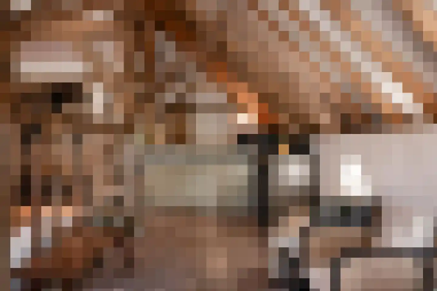 Woerdsestraat 34 Altforst thumbnail 26