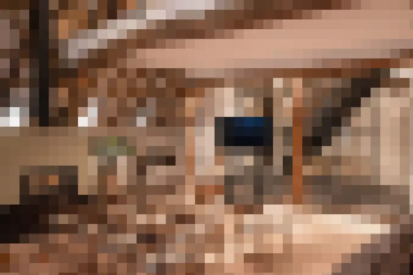 Woerdsestraat 34 Altforst thumbnail 29