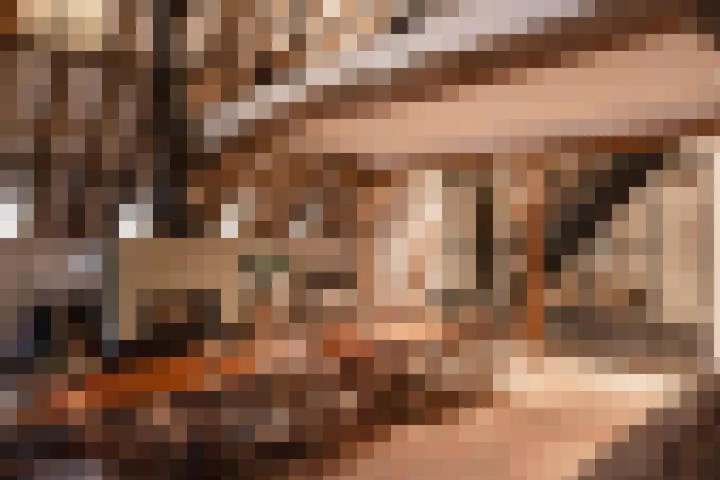 Woerdsestraat 34 Altforst thumbnail 30
