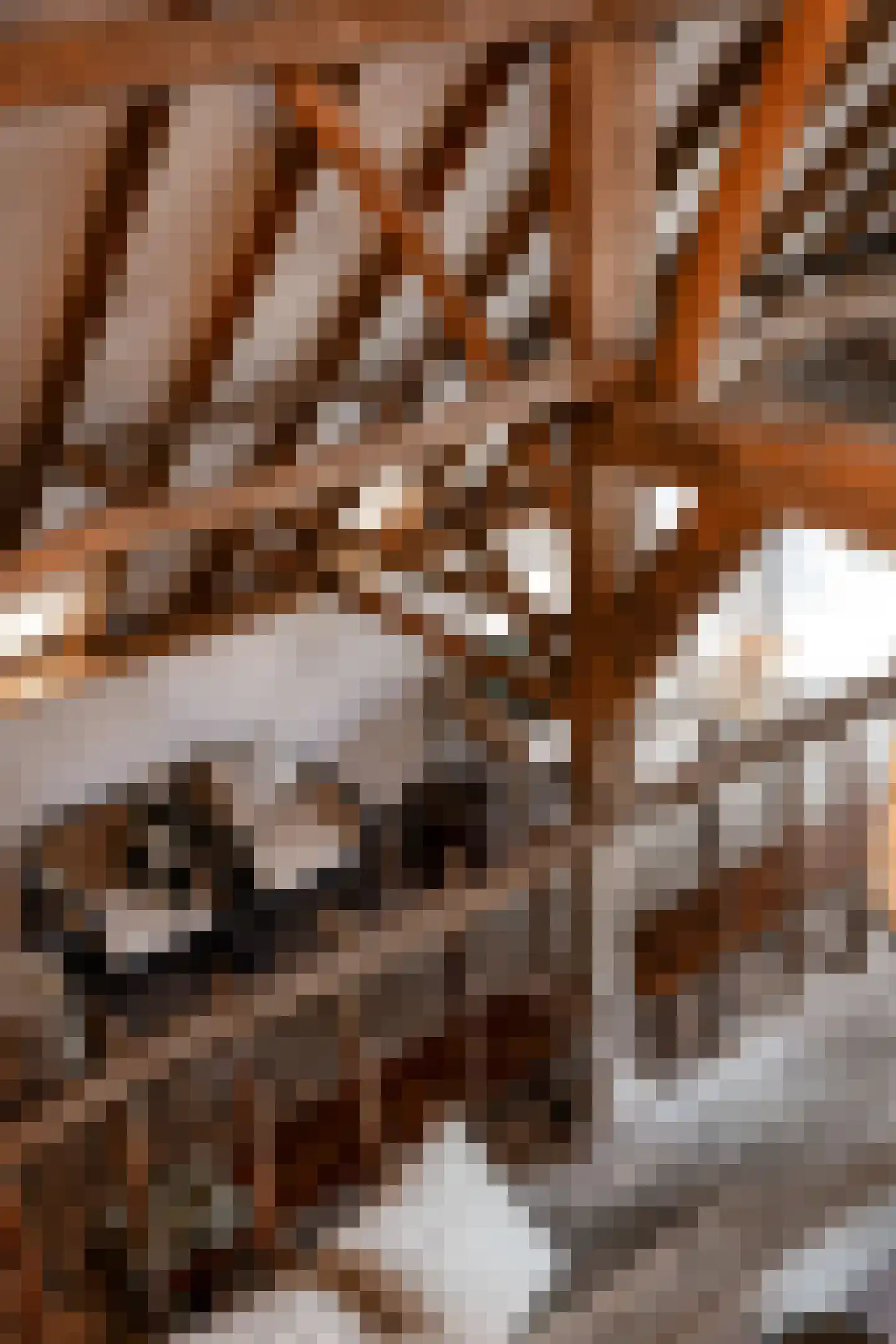 Woerdsestraat 34 Altforst thumbnail 33
