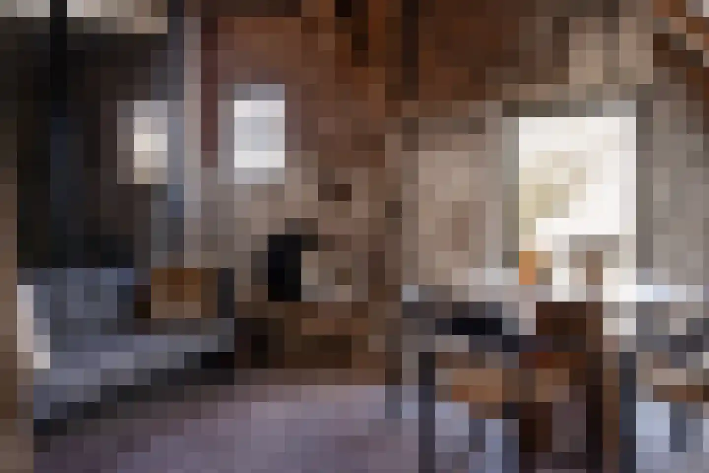 Woerdsestraat 34 Altforst thumbnail 35