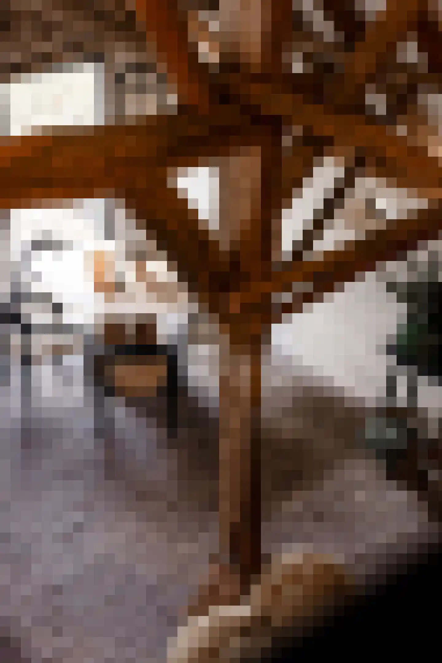 Woerdsestraat 34 Altforst thumbnail 36
