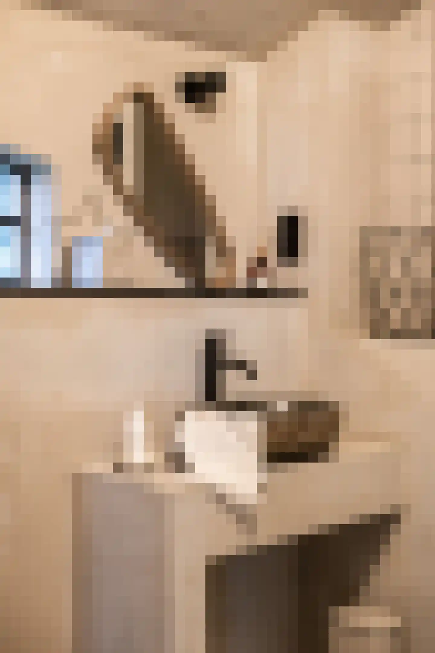 Woerdsestraat 34 Altforst thumbnail 37