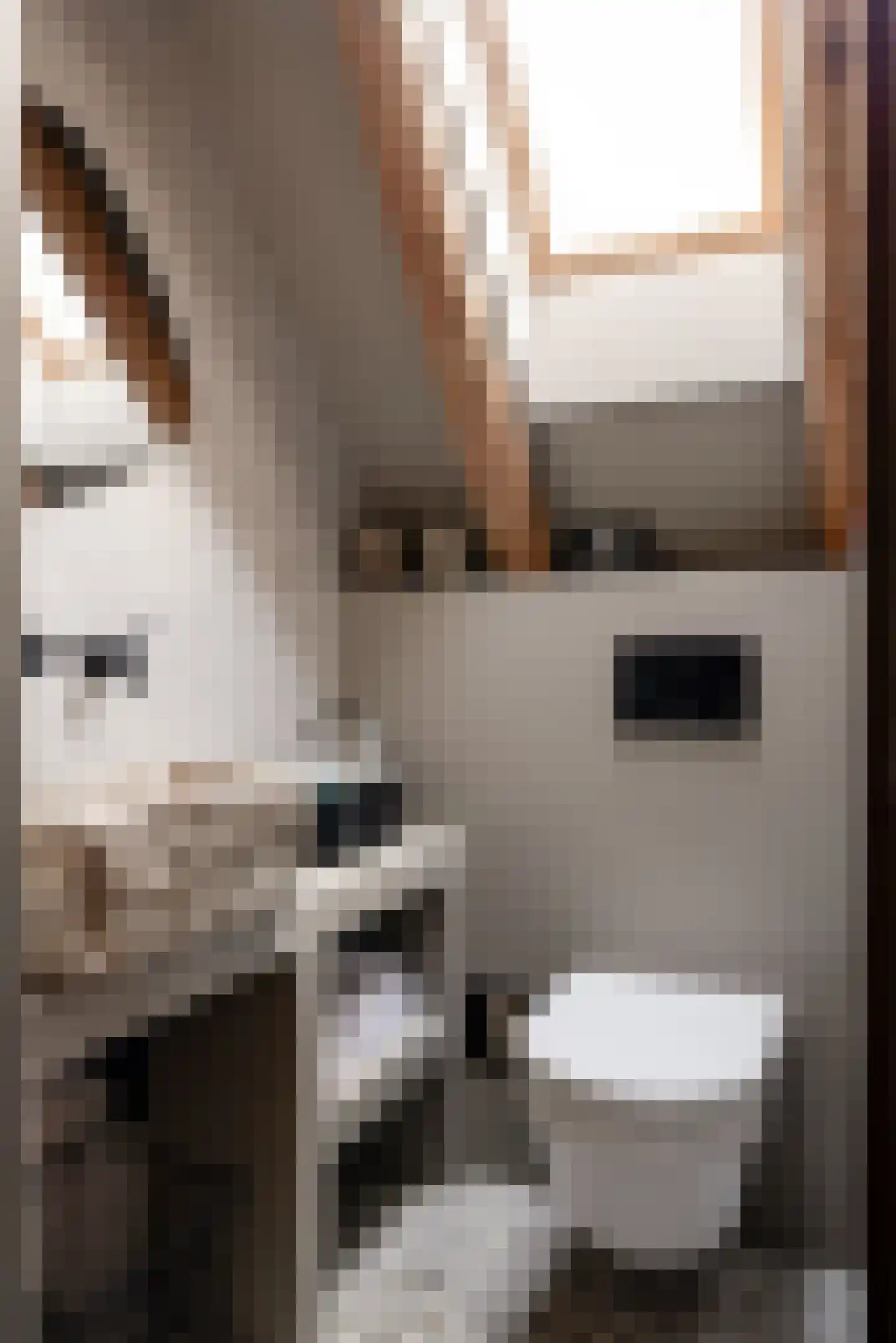 Woerdsestraat 34 Altforst thumbnail 39
