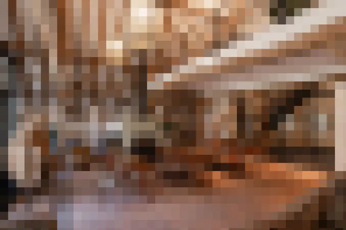 Woerdsestraat 34 Altforst thumbnail 4