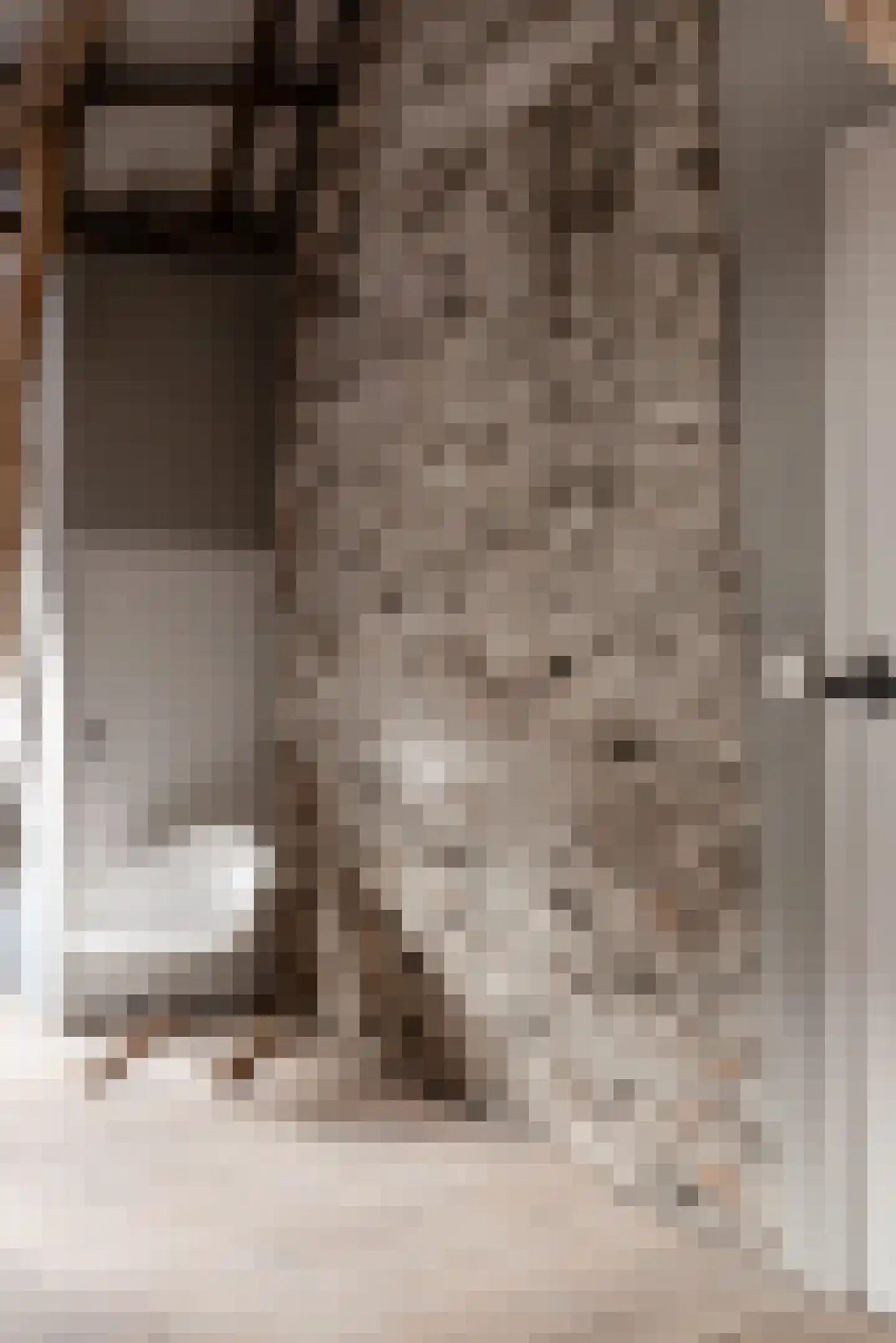 Woerdsestraat 34 Altforst thumbnail 40