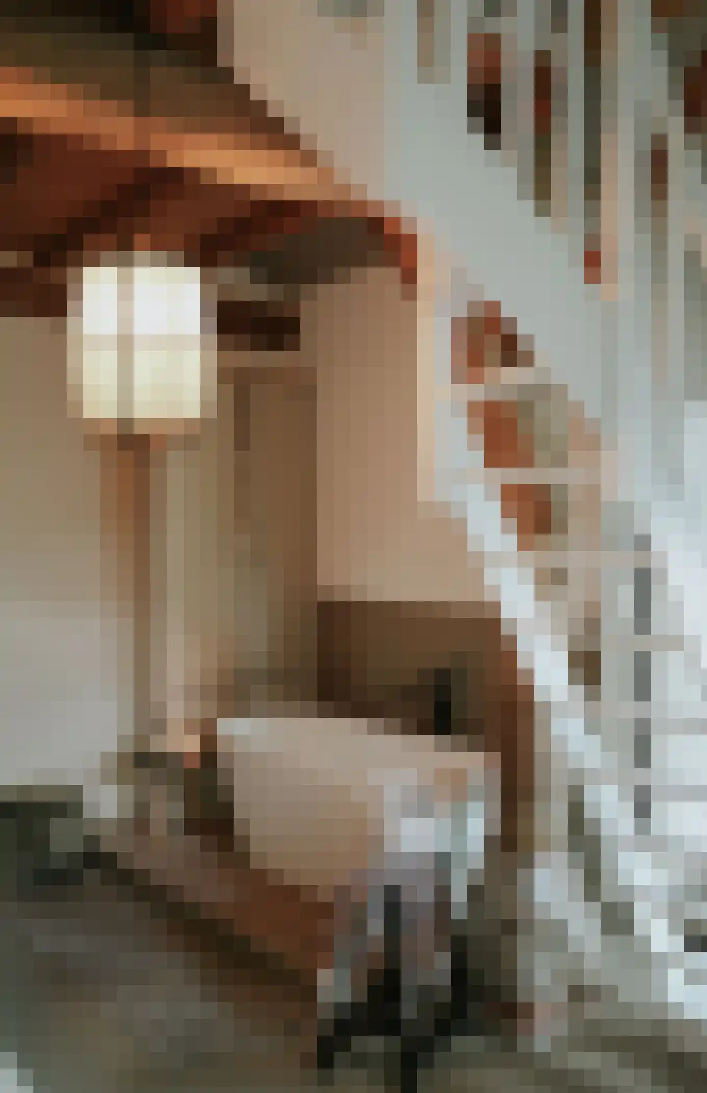 Woerdsestraat 34 Altforst thumbnail 41