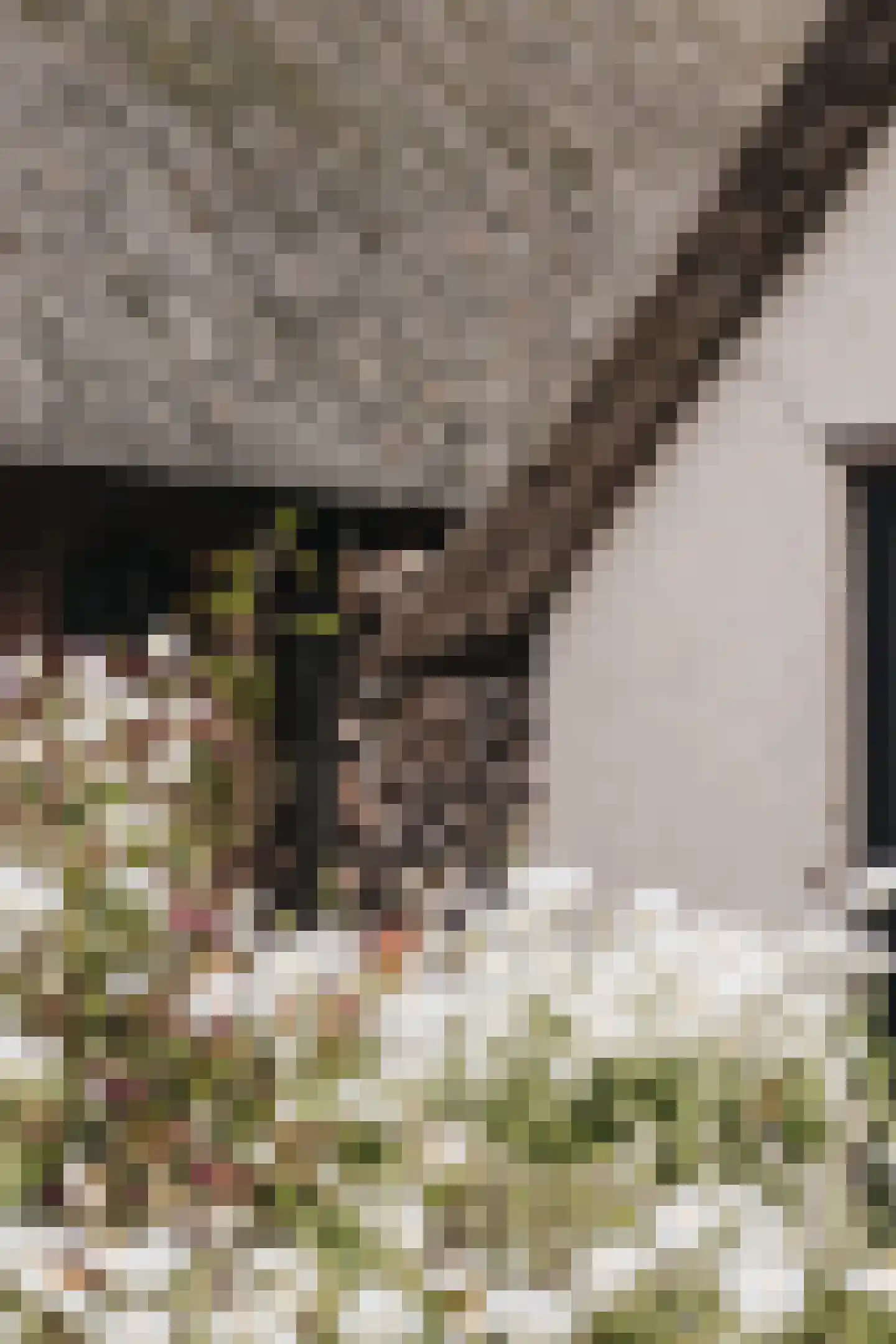Woerdsestraat 34 Altforst thumbnail 43
