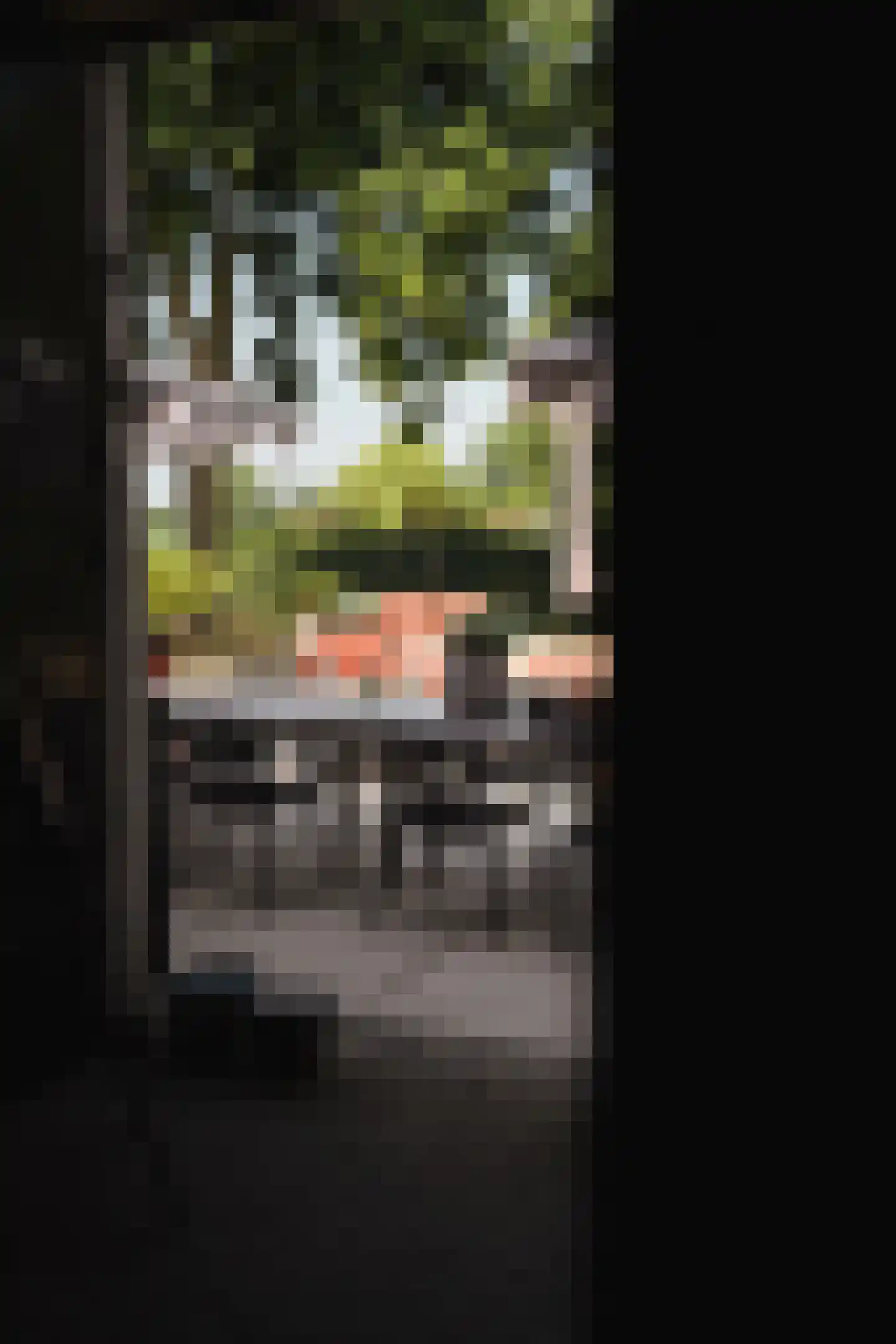 Woerdsestraat 34 Altforst thumbnail 46