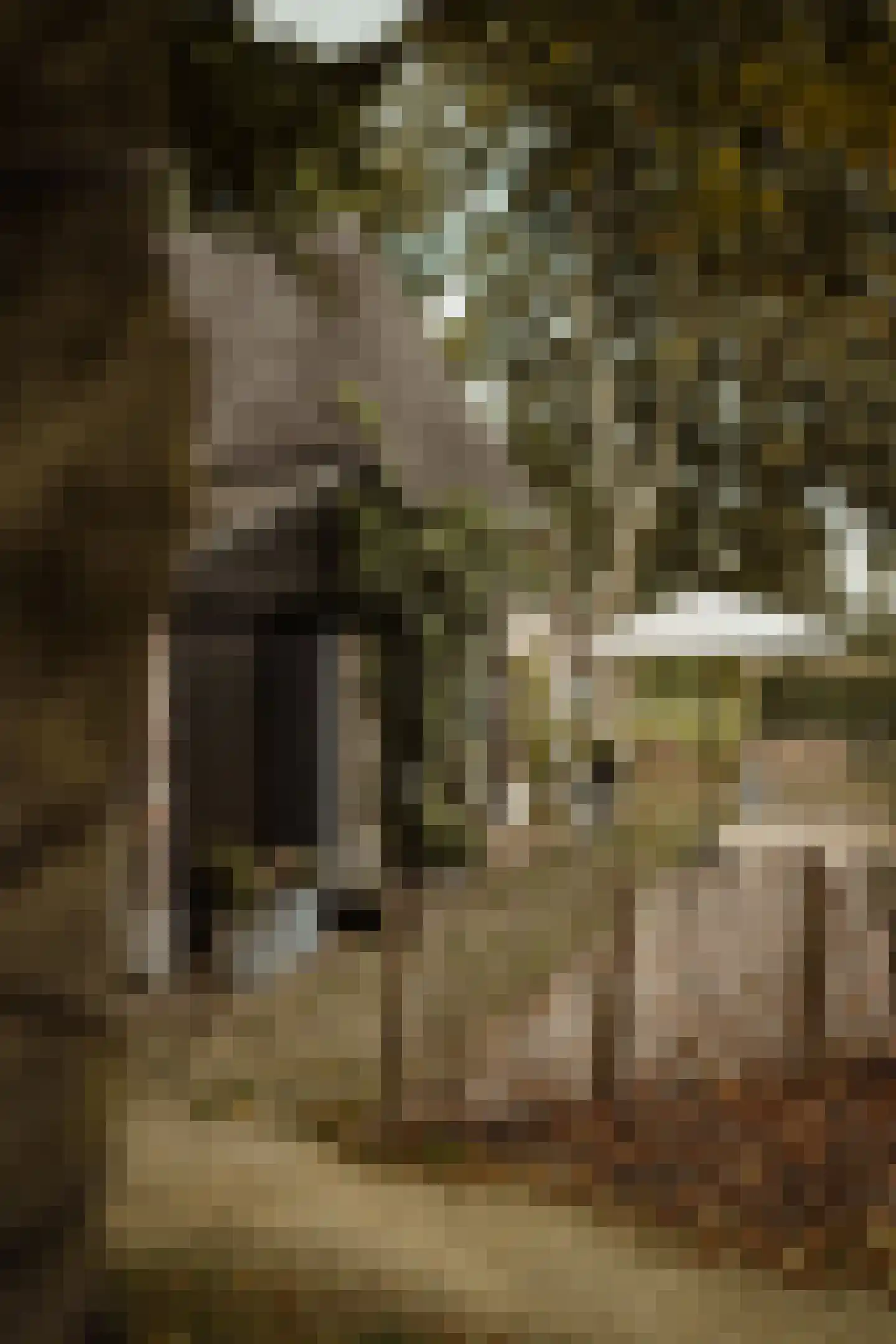 Woerdsestraat 34 Altforst thumbnail 48