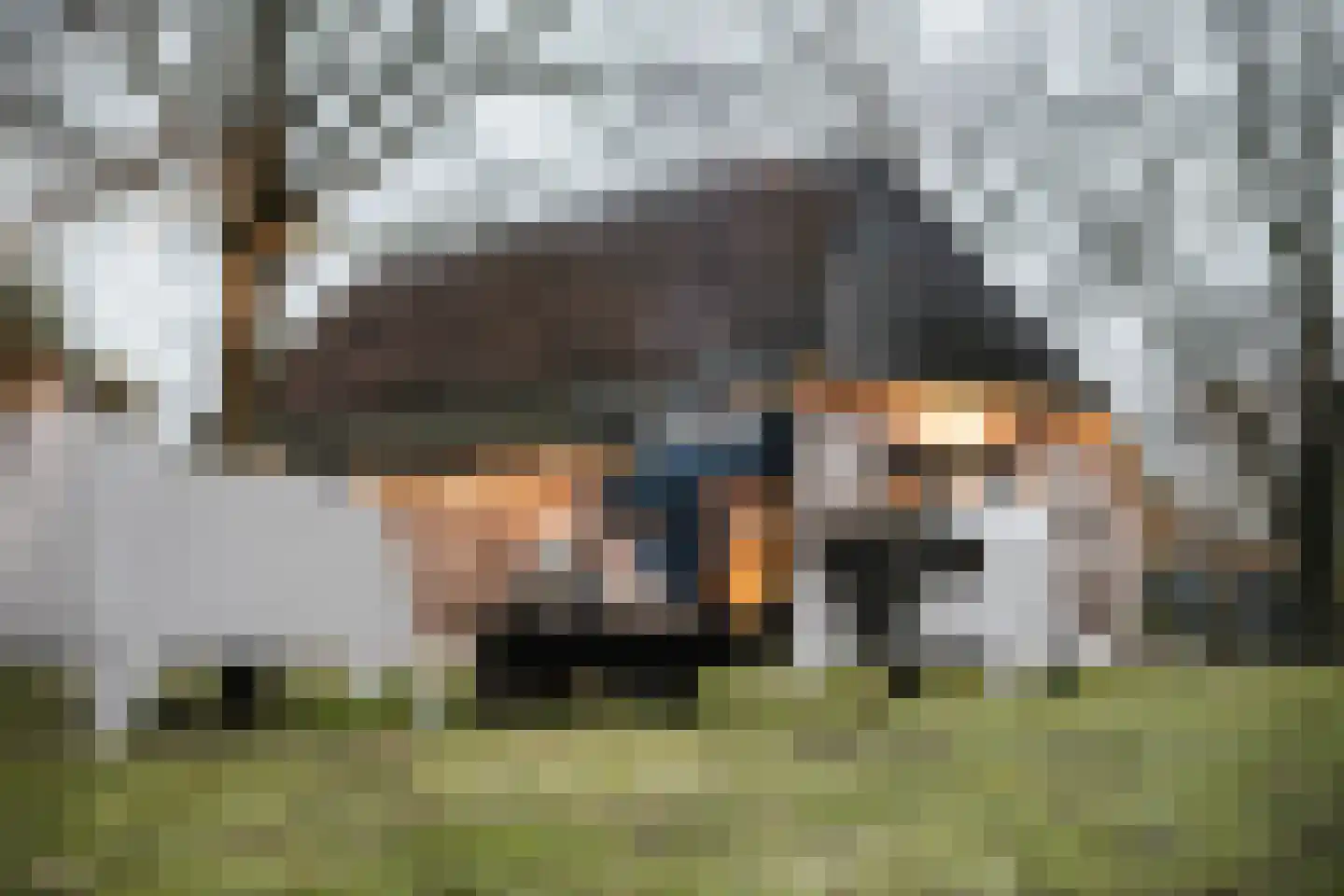 Woerdsestraat 34 Altforst thumbnail 49
