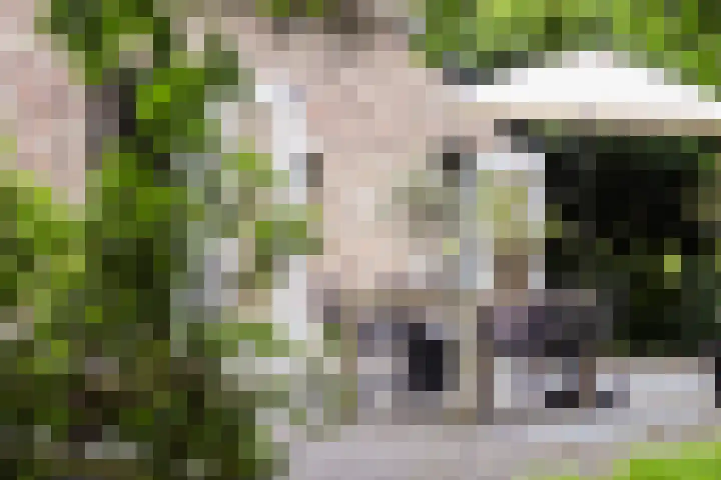Woerdsestraat 34 Altforst thumbnail 55