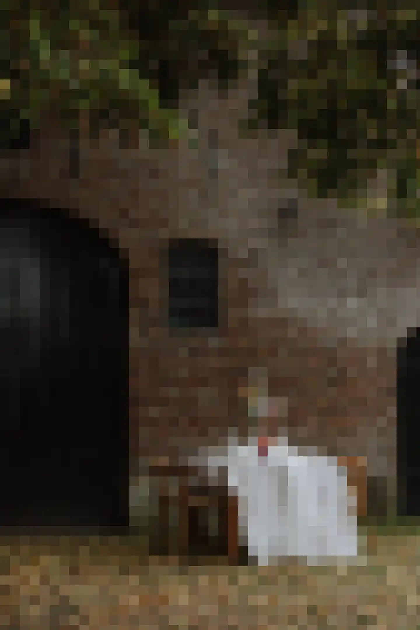 Woerdsestraat 34 Altforst thumbnail 56