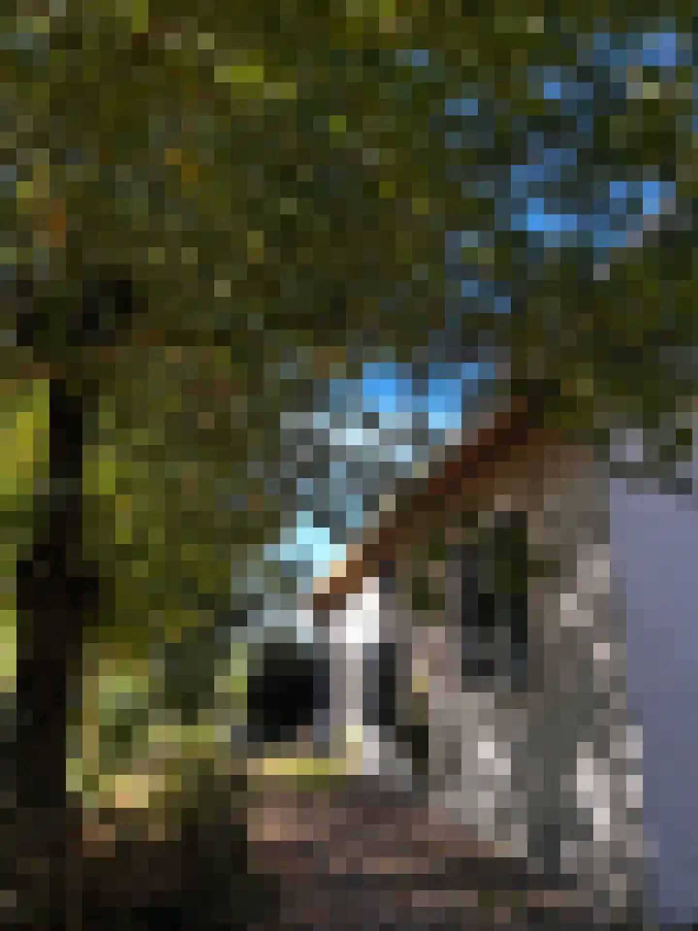 Woerdsestraat 34 Altforst thumbnail 57