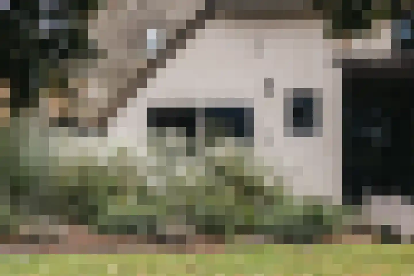 Woerdsestraat 34 Altforst thumbnail 58