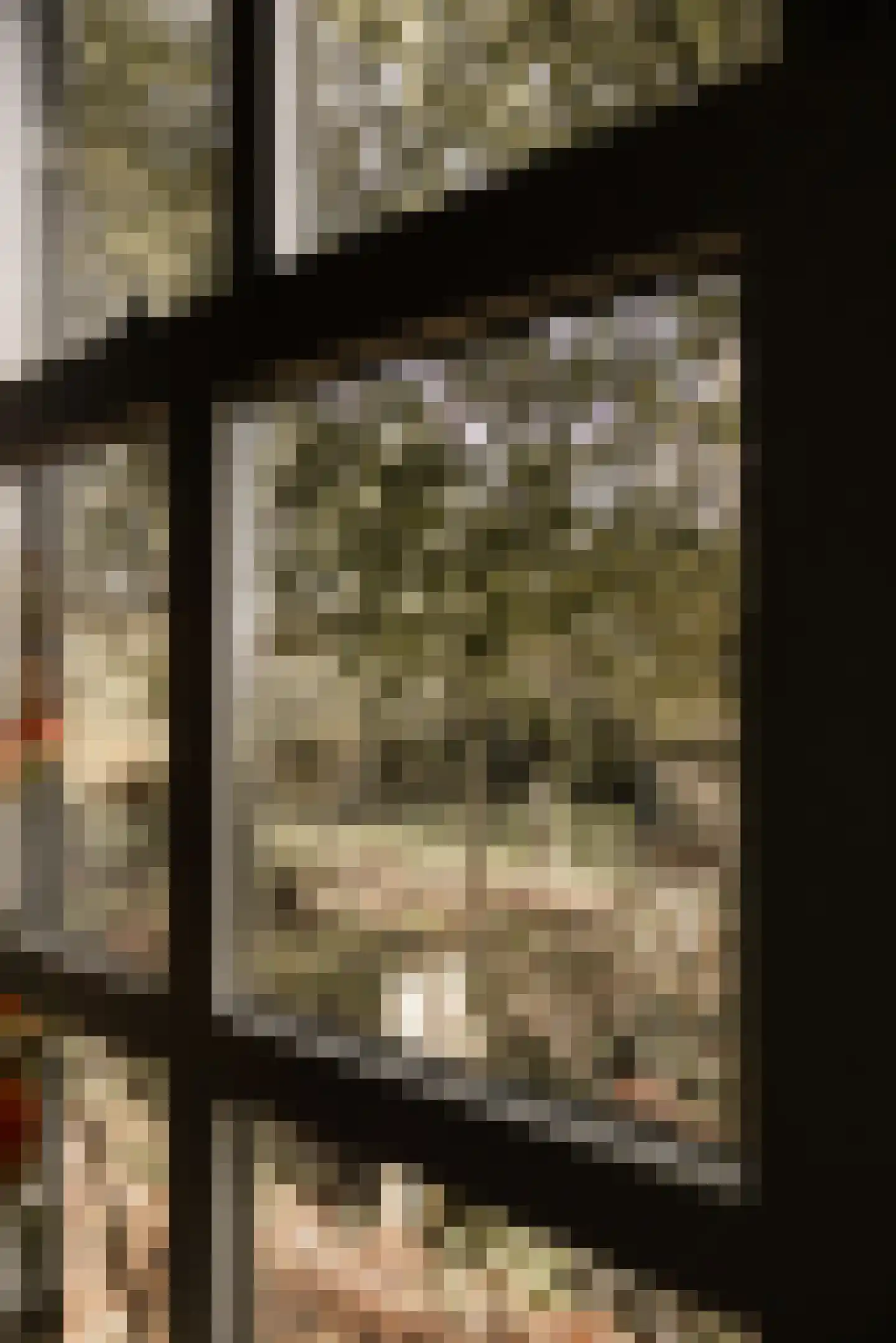 Woerdsestraat 34 Altforst thumbnail 6