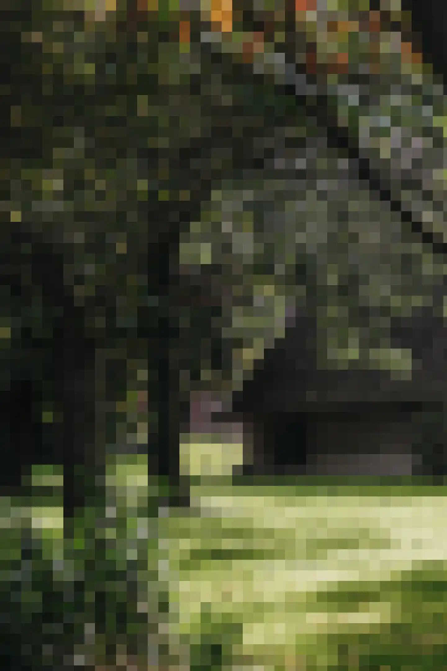Woerdsestraat 34 Altforst thumbnail 60