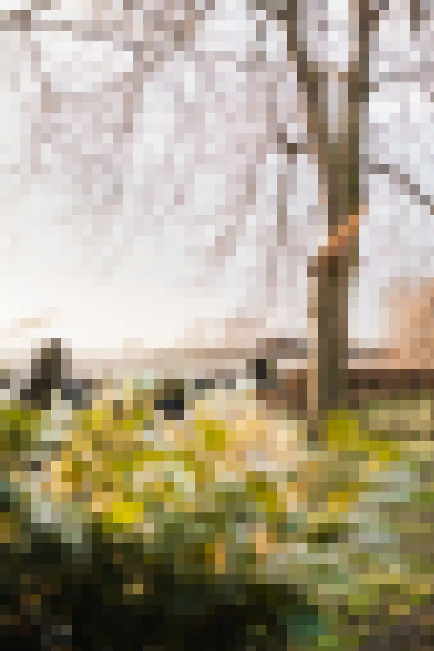 Woerdsestraat 34 Altforst thumbnail 64
