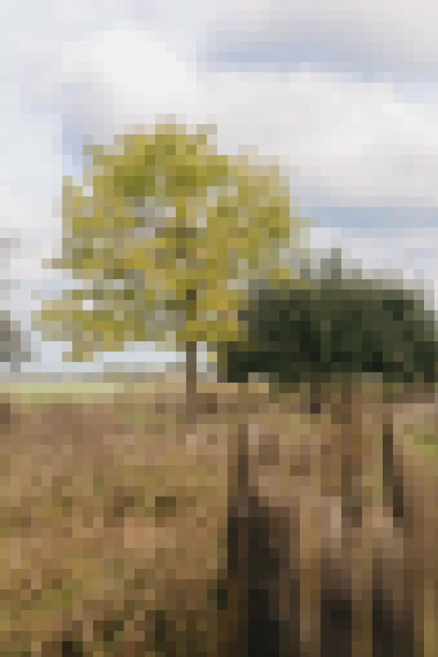 Woerdsestraat 34 Altforst thumbnail 65