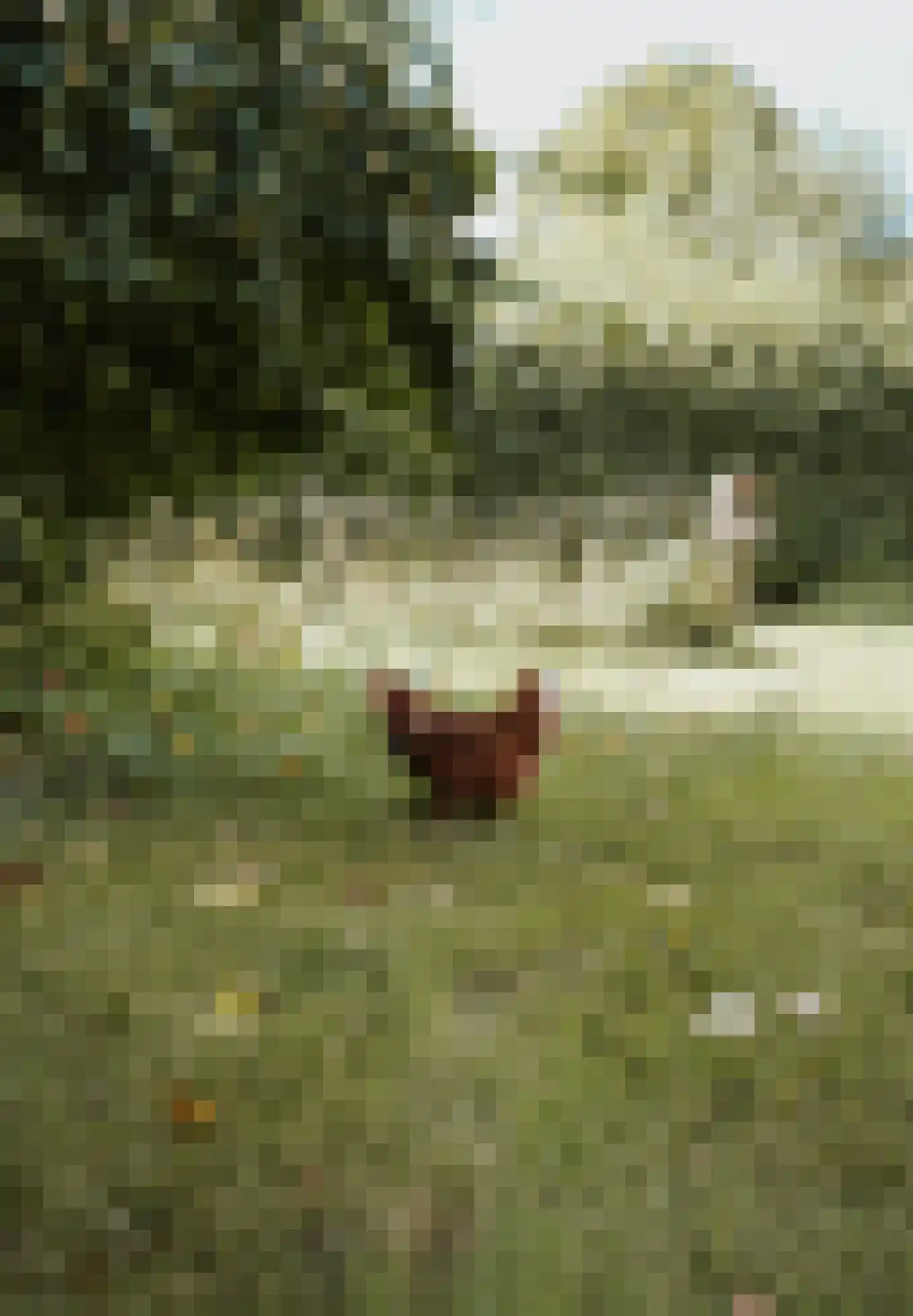 Woerdsestraat 34 Altforst thumbnail 66