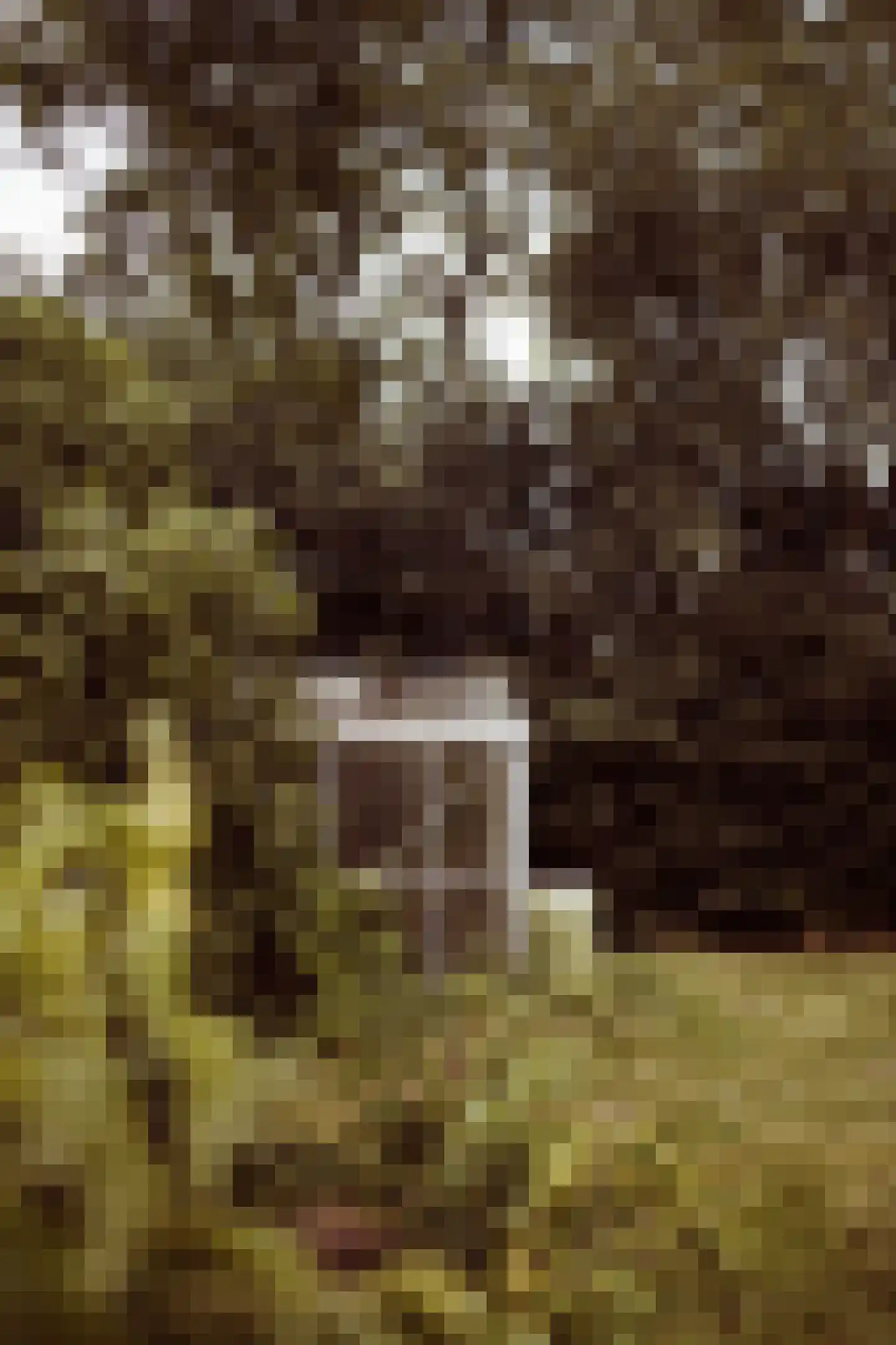 Woerdsestraat 34 Altforst thumbnail 67