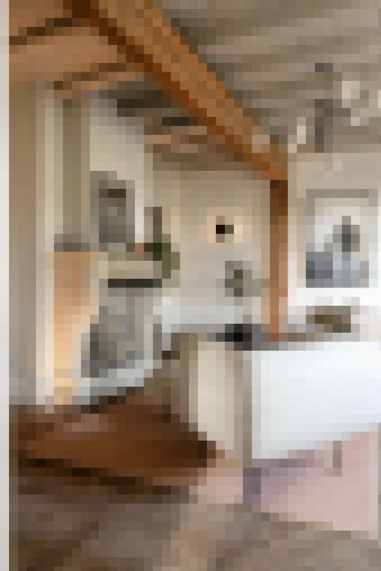 Woerdsestraat 34 Altforst thumbnail 7