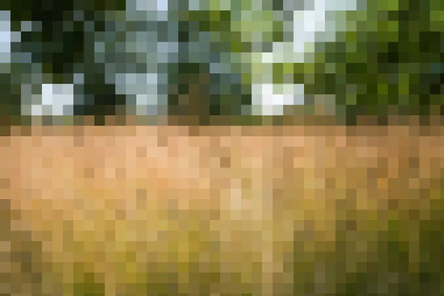 Woerdsestraat 34 Altforst thumbnail 71