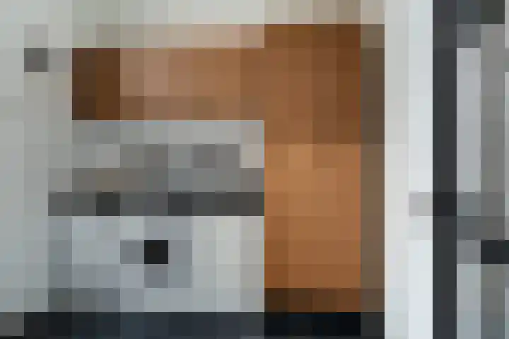 Woerdstraat 13 Duiven thumbnail 26