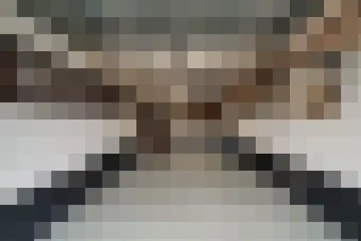 Woerdstraat 13 Duiven thumbnail 29