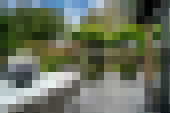 Woerdstraat 13 Duiven thumbnail 43