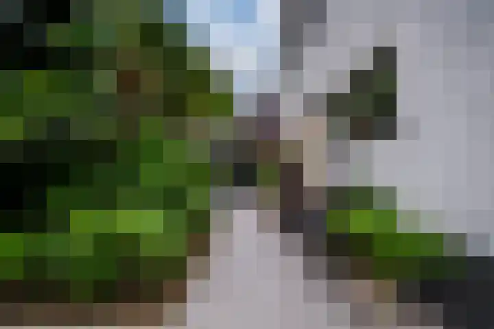 Woerdstraat 13 Duiven thumbnail 5