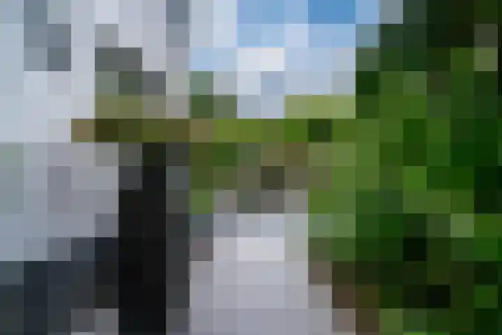 Woerdstraat 13 Duiven thumbnail 50