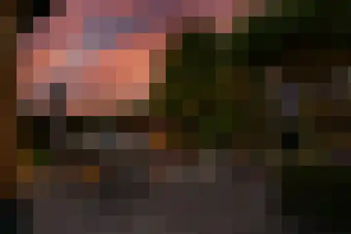 Woerdstraat 13 Duiven thumbnail 54