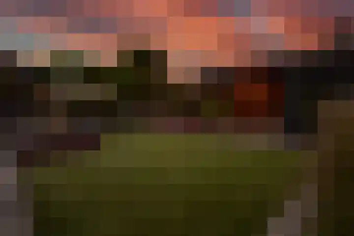 Woerdstraat 13 Duiven thumbnail 55