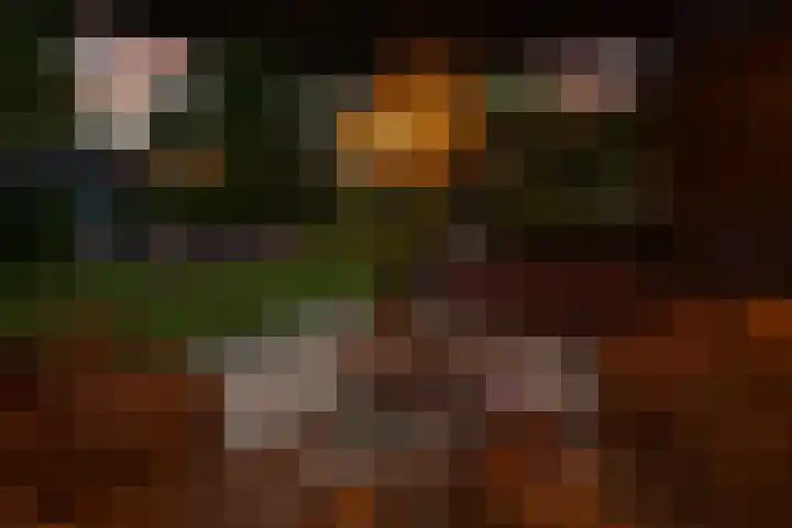 Woerdstraat 13 Duiven thumbnail 56