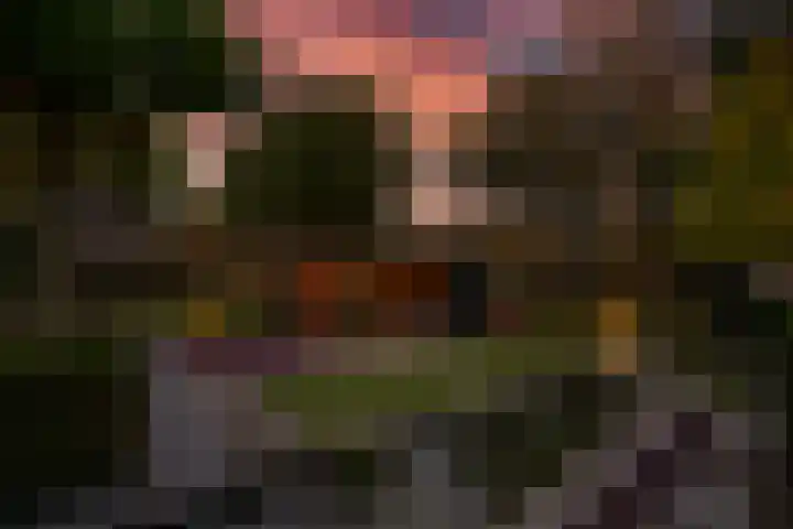 Woerdstraat 13 Duiven thumbnail 57