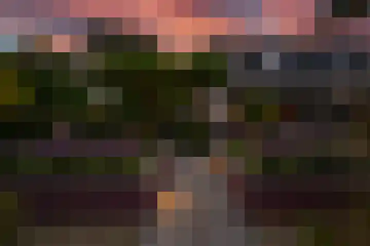 Woerdstraat 13 Duiven thumbnail 59