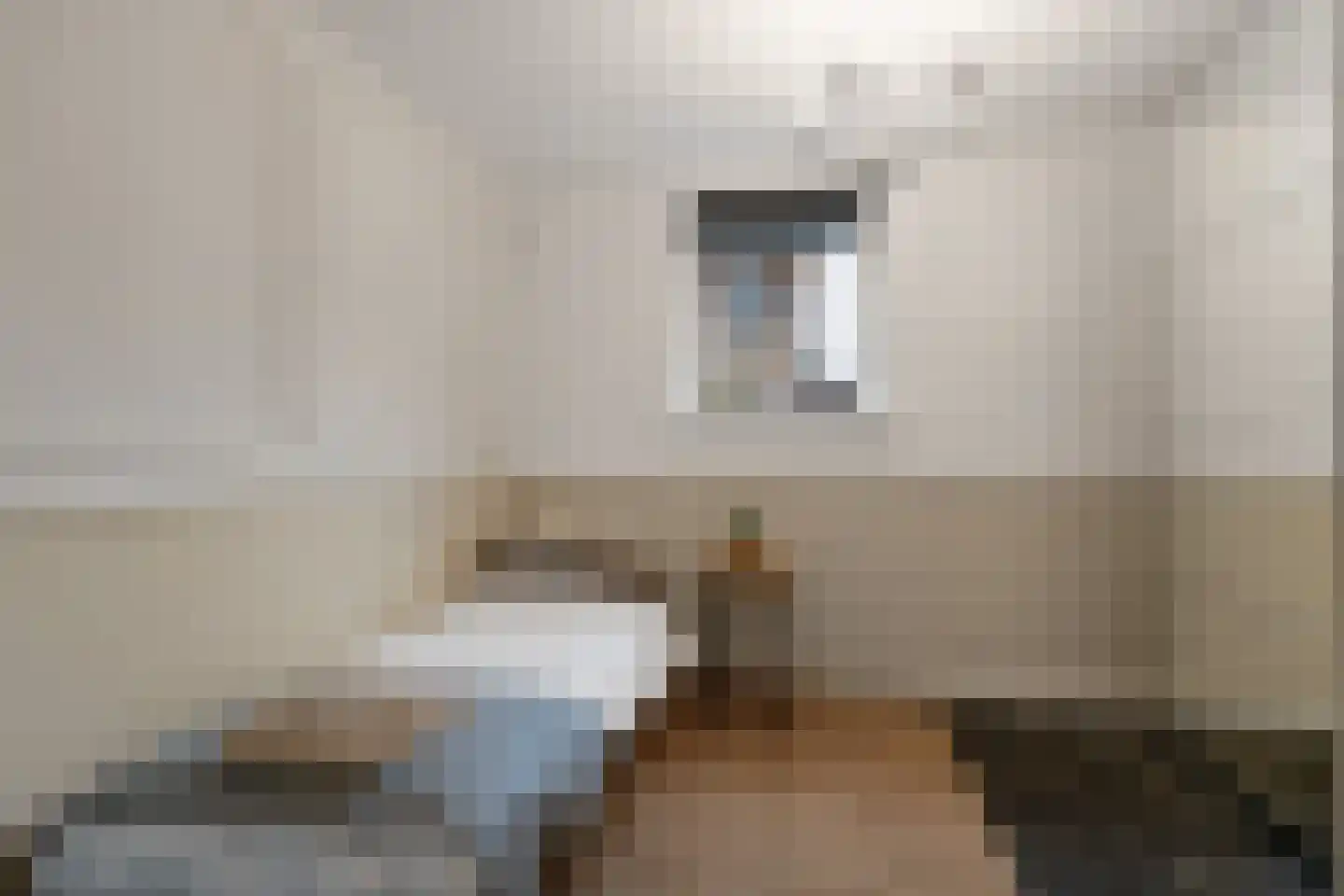 Woerdstraat 34 Duiven thumbnail 11