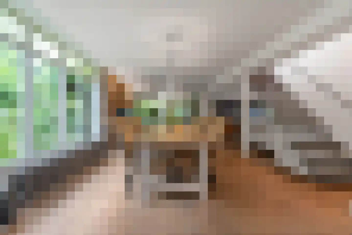 Woerdstraat 34 Duiven thumbnail 27