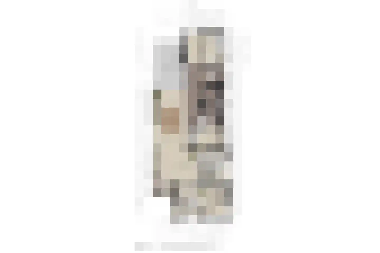 Woerdstraat 34 Duiven thumbnail 30
