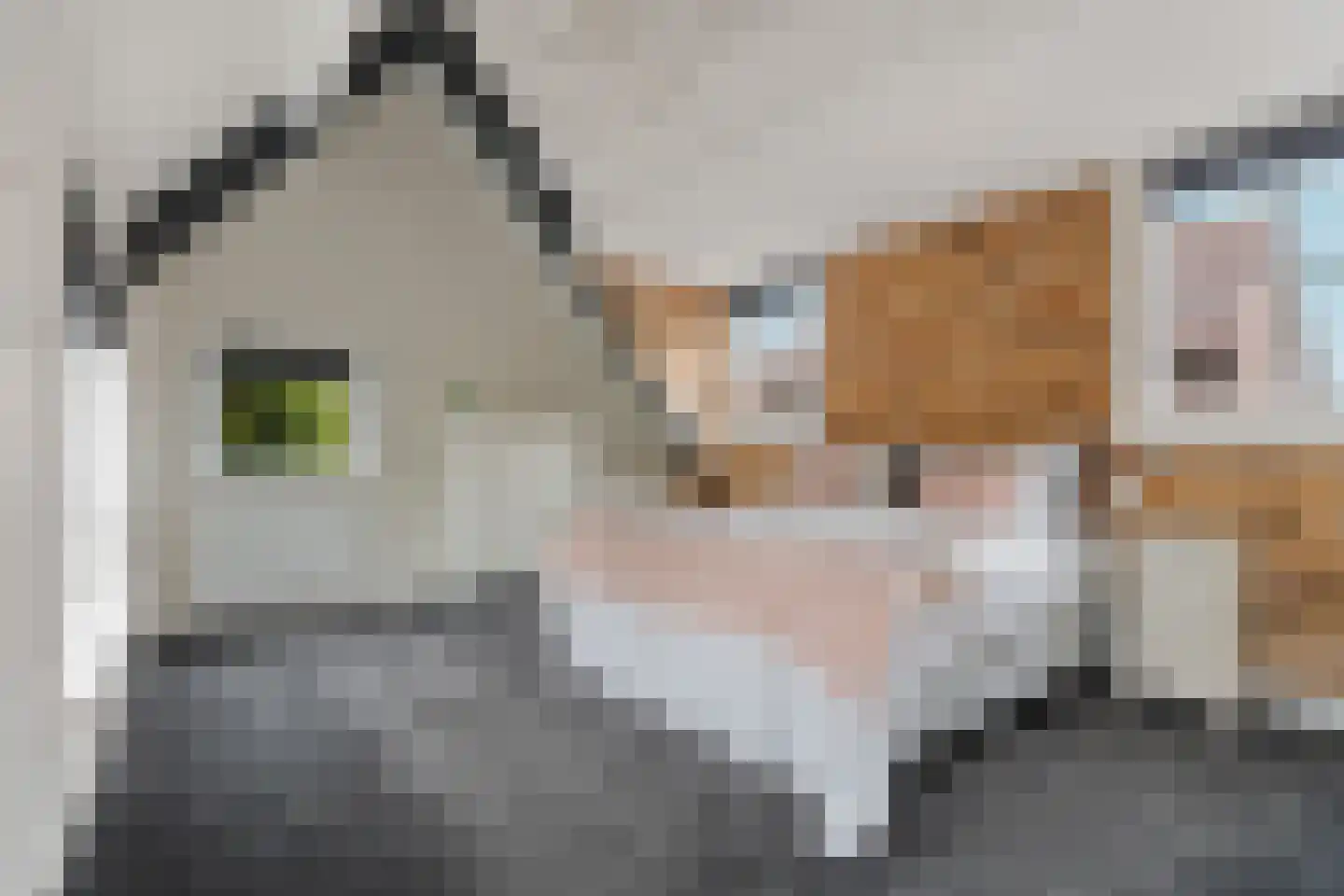 Woerdstraat 34 Duiven thumbnail 31