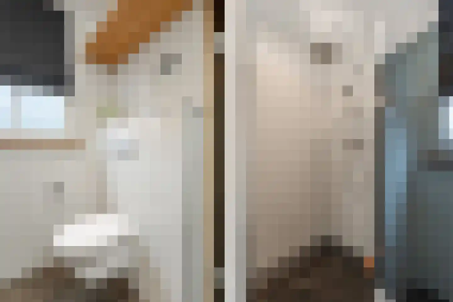 Woerdstraat 34 Duiven thumbnail 34