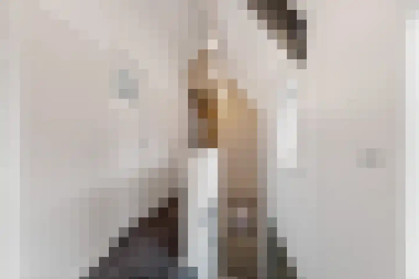 Woerdstraat 34 Duiven thumbnail 37