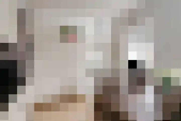 Woerdstraat 34 Duiven thumbnail 39