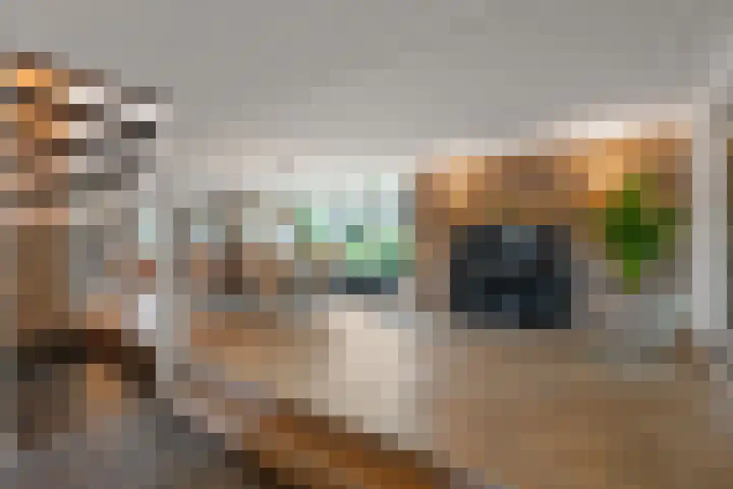 Woerdstraat 34 Duiven thumbnail 4