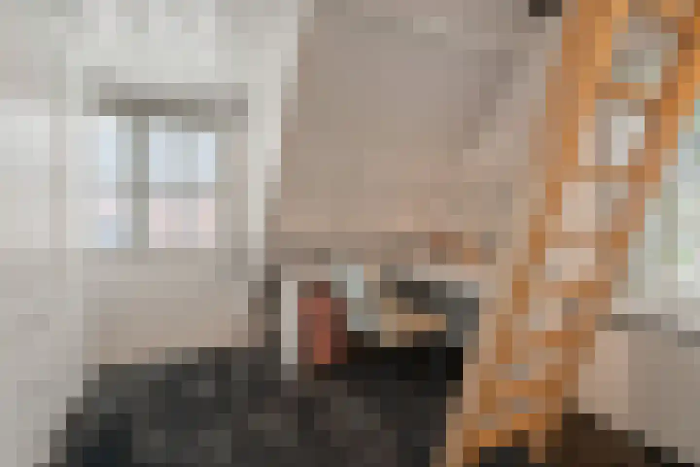 Woerdstraat 34 Duiven thumbnail 42